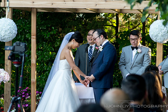 Lisa and Shiru Wedding