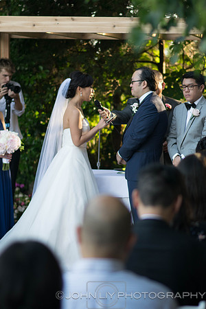 Lisa and Shiru Wedding