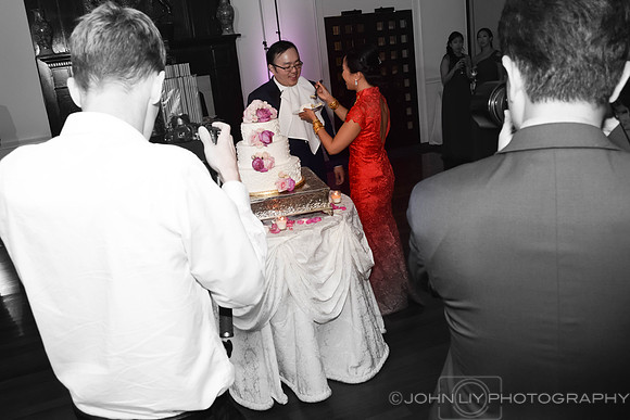 Lisa and Shiru Wedding