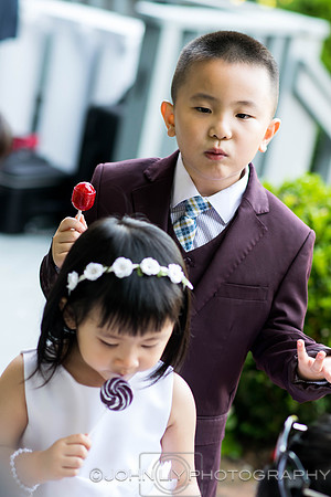Lisa and Shiru Wedding