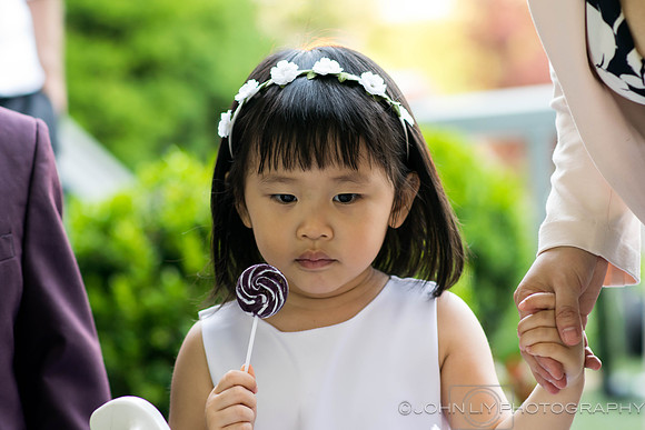 Lisa and Shiru Wedding