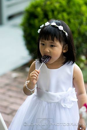 Lisa and Shiru Wedding